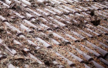 Angram roof cleaning companies