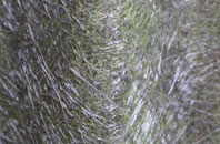 Angram fibreglass roof work