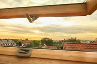 rated Angram roof window companies